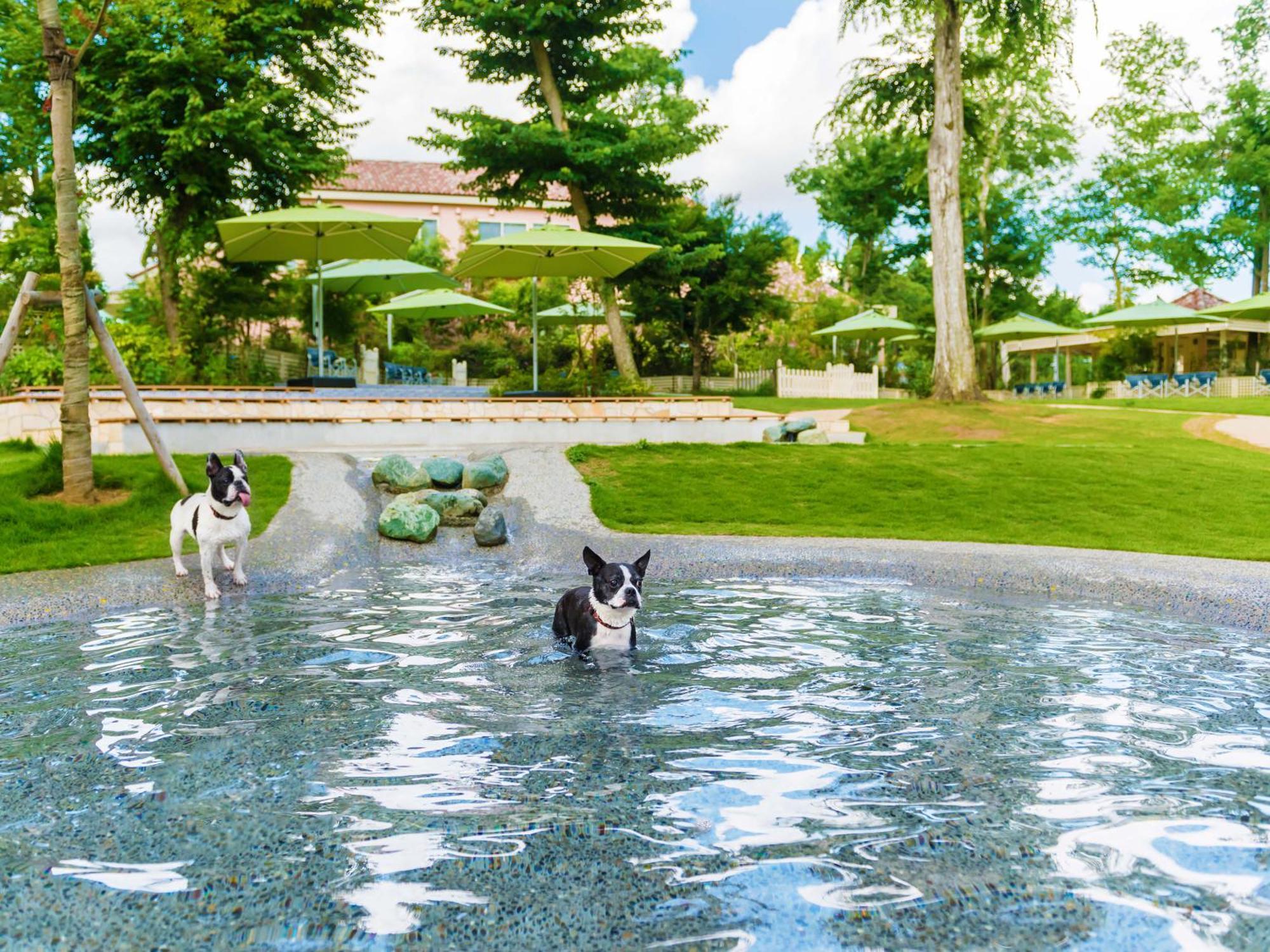 Koyaru-no-sato Doggys Island โรงแรม
