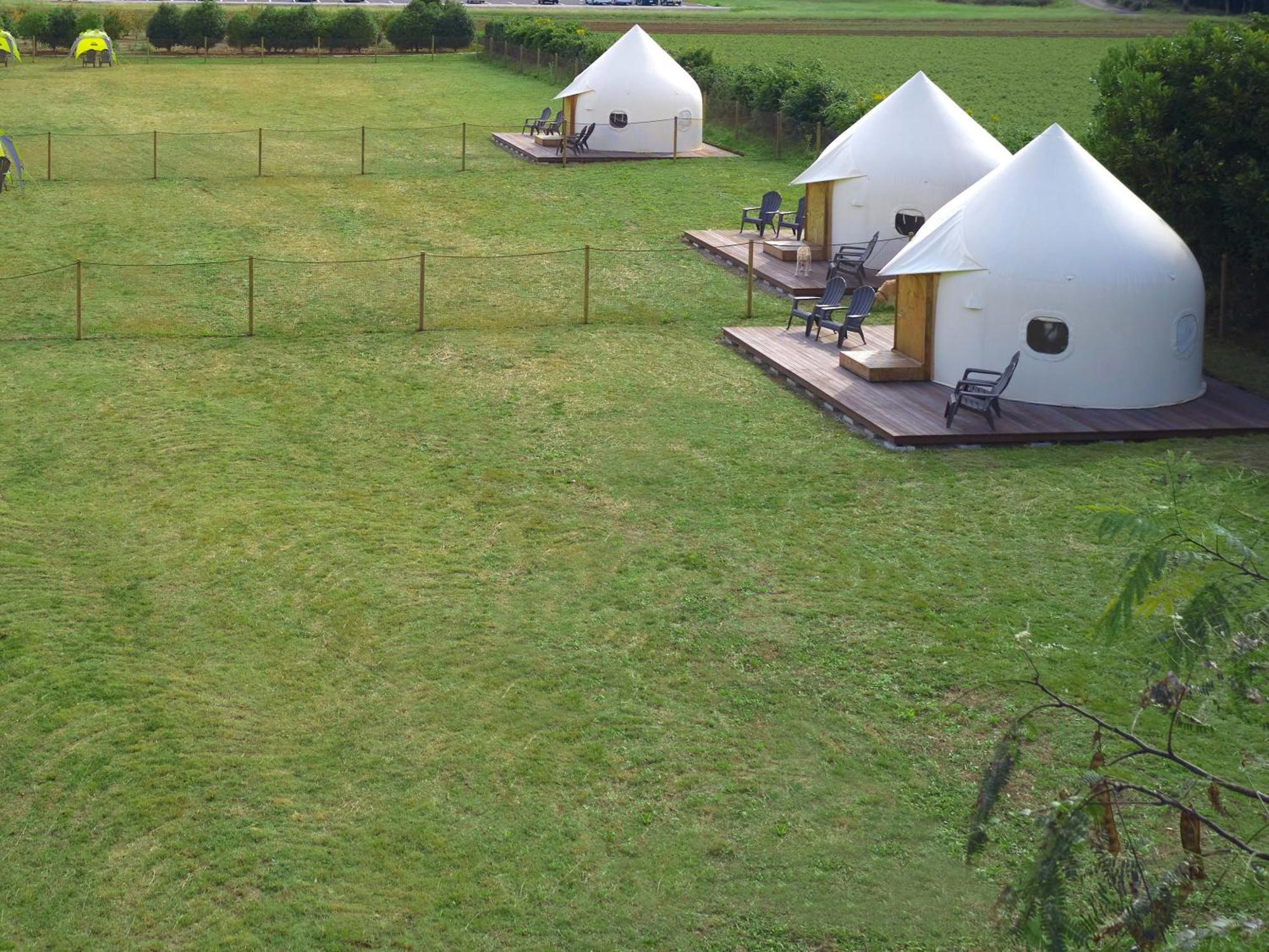 Koyaru-no-sato Doggys Island โรงแรม Yachimata